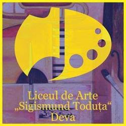 Liceul de Muzica Si Arte Plastice Sigismund Toduta Deva, program de funcționare