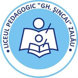Liceul Pedagogic Gheorghe Sincai-Zalau, program de funcționare