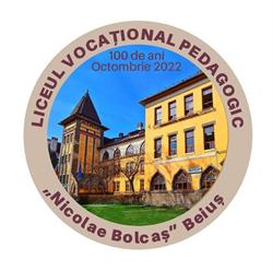 Liceul Pedagogic Nicolae Bolcas Beius, program de funcționare