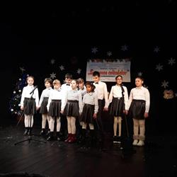 Liceul Pentru Deficienti de Vedere Buzau, program de funcționare