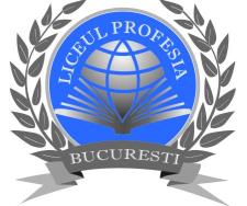Liceul Profesia în Bucureşti, Sector 3 - program de funcționare