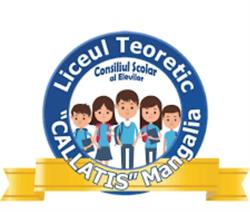 Liceul Teoretic Callatis Mangalia, program de funcționare