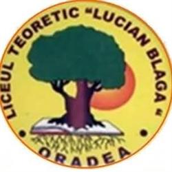 Liceul Teoretic Lucian Blaga Oradea, program de funcționare