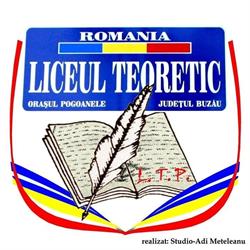 Liceul Teoretic Pogoanele, program de funcționare