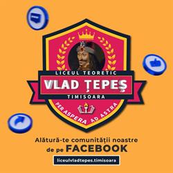 Liceul Teoretic Vlad Tepes Timisoara, program de funcționare