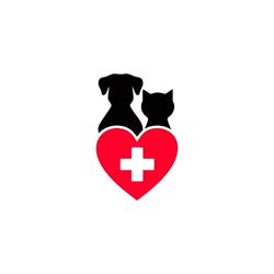 Medicalvet S.r.l, Galaţi program de funcționare