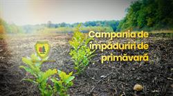 Ocolul Silvic Anina, program de funcționare