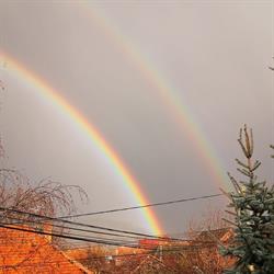 Ocolul Silvic Comandau, Covasna program de funcționare