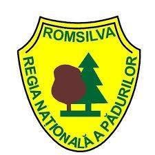 Ocolul Silvic Pui, program de funcționare