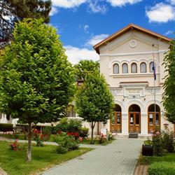 Muzeul Casa Cuza Voda Galati, program de funcționare