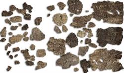 Muzeul de Arheologie Callatis Mangalia, program de funcționare