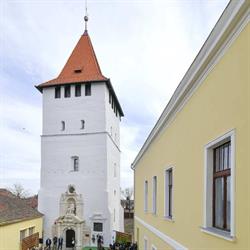 Muzeul Memorial Arany János, Salonta program de funcționare