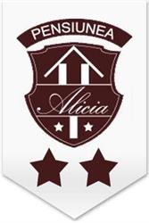 Hotel-Pensiune Alicia Timisoara, program de funcționare