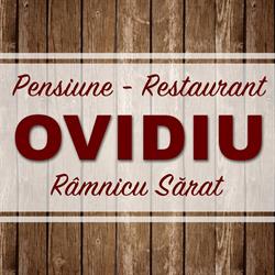 Pensiunea Turistica Ovidiu Ramnicu Sarat, program de funcționare
