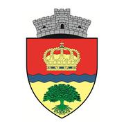Primăria 1 Decembrie, program de funcționare