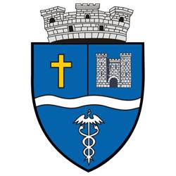 Primăria Oraşului Aleşd, program de funcționare