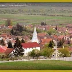 Primăria Apaţa, program de funcționare