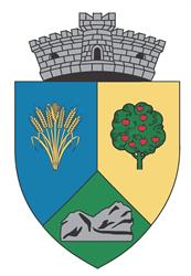 Primaria Baciu, program de funcționare