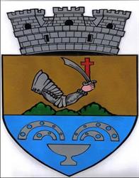 Primăria Băile Olăneşti, program de funcționare
