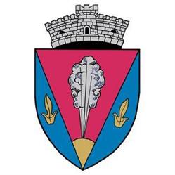 Primaria Barghis, program de funcționare