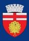 Primăria Municipiului Botoşani, program de funcționare