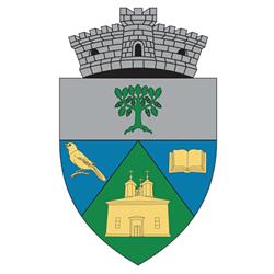 Primăria Brăneşti, program de funcționare