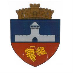 Primaria Calnic, Câlnic program de funcționare