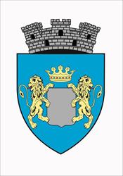 Primăria Cisnădie, program de funcționare