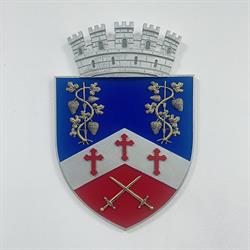 Primaria Dragasani, program de funcționare