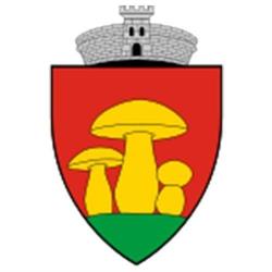Primăria Glimboca, program de funcționare