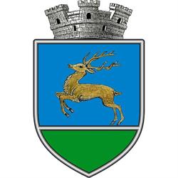 Primaria Gura Humorului, program de funcționare