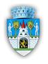 Primăria Lazuri, program de funcționare
