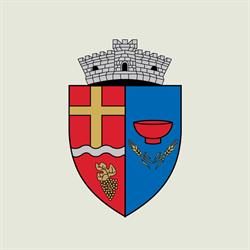Primăria Micăsasa, program de funcționare