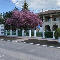 Primăria Negru Vodă, program de funcționare