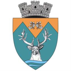 Primaria Novaci, program de funcționare