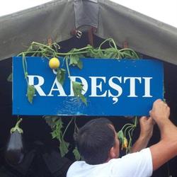 Primăria Rădeşti, program de funcționare