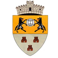 Primăria Satulung, program de funcționare