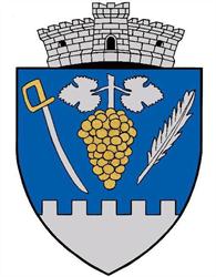 Primăria Şiria, program de funcționare