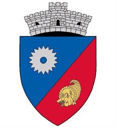 Primaria Sura Mica, program de funcționare