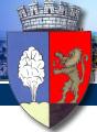 Primăria Târnăveni, program de funcționare