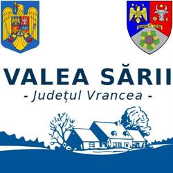Primăria Valea Mare, program de funcționare