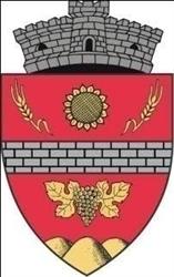 Primăria Valu Lui Traian, Valu lui Traian program de funcționare