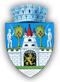 Primăria Vetiş, program de funcționare