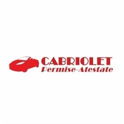 Cabriolet-Scoala de soferi Turda, program de funcționare