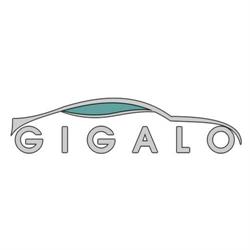 Scoala de Soferi Gigalo, Târgovişte program de funcționare