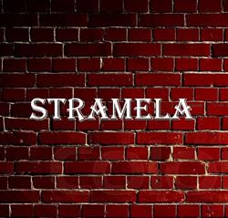 Stramela S.r.l, Corabia program de funcționare
