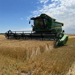 Statiunea de Cercetare Si Dezvoltare Agricola Caracal, program de funcționare