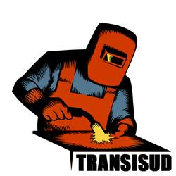 Transisud Consulting S.r.l, Cluj-Napoca program de funcționare