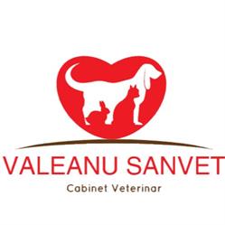 Valeanu SanVet, Dej program de funcționare