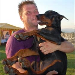 Vet & Vet S.r.l, Cluj-Napoca program de funcționare